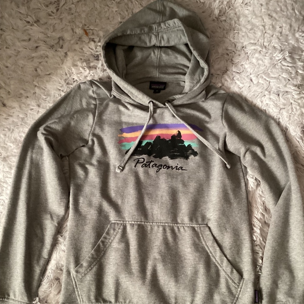 Patagonia Hoodie